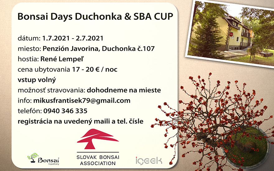 Bonsai Days Duchonka